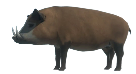 ☆MPB Wild Boar☆SR☆Fade bream 2☆ Wild Boar | Animal Revolt