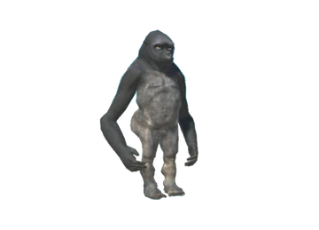 gorilla様 PUBLIC GENERAL143cm Poojectile Gorilla | Animal Revolt Battle Simulator Wiki