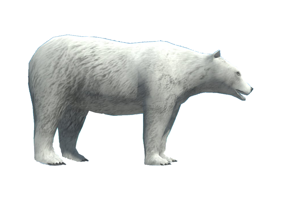 Polar Bear | Animal Revolt Battle Simulator Wiki | Fandom Polar Bear | Animal Revolt Battle Simulator Wiki | Fandom
