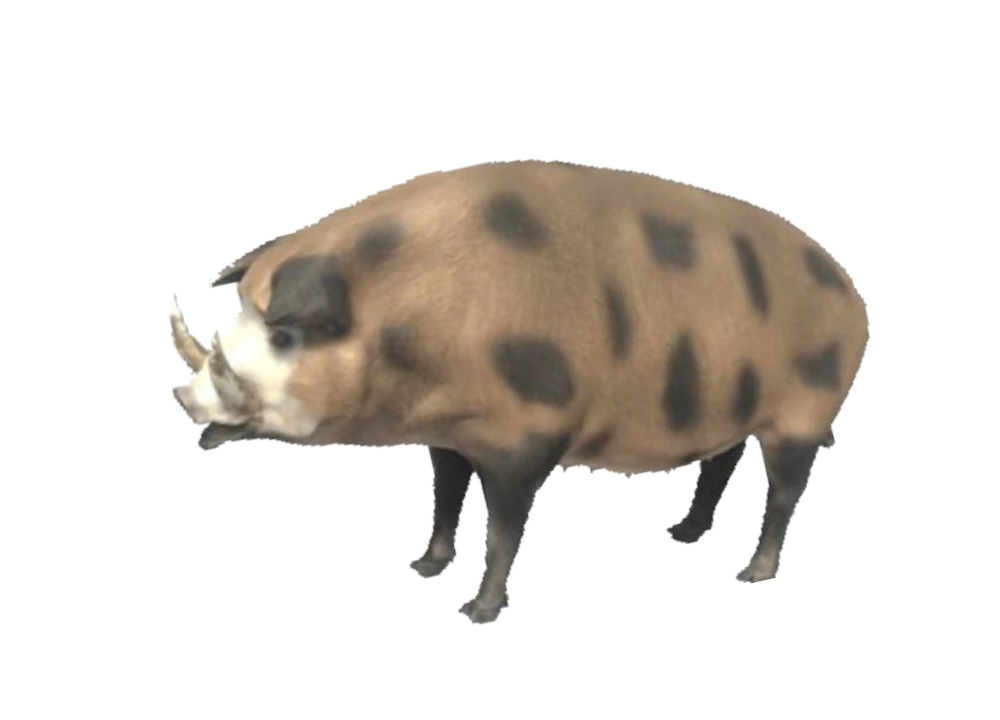 mpblures wild boar SR③ Wild Boar | Animal Revolt Battle Simulator Wiki | Fandom