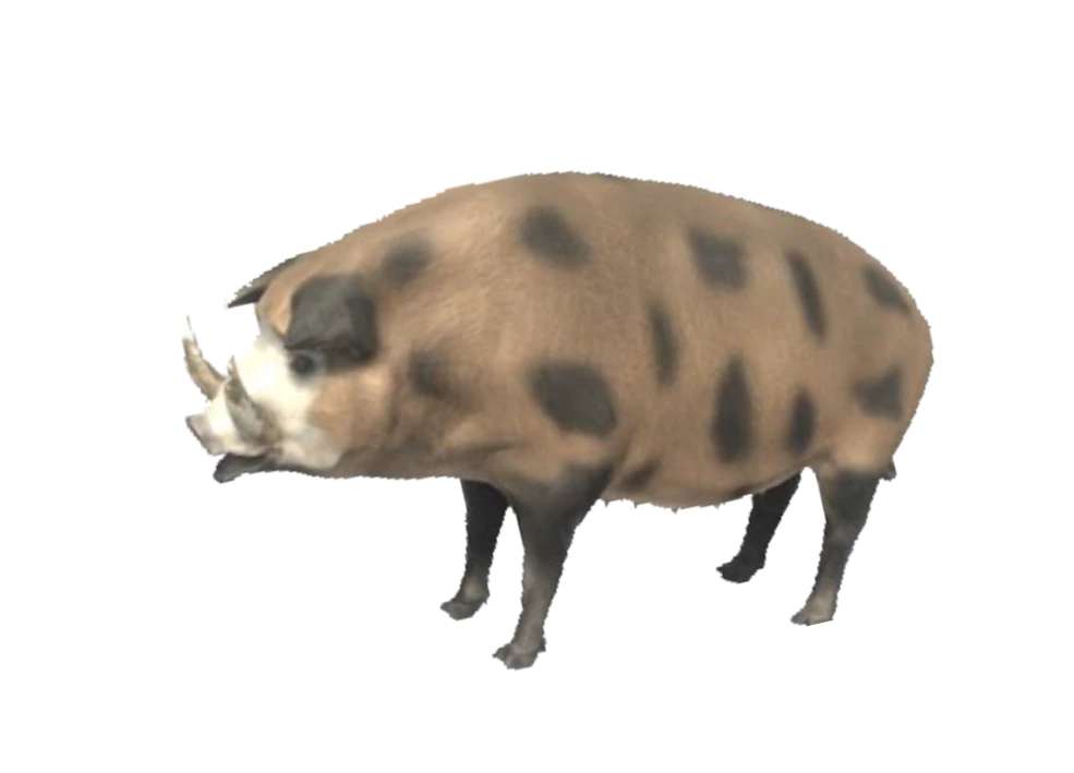 mpblures wild boar SR③ CWB05R Wild Boar – Open Mouth – Joe Coombs Classics, Inc.