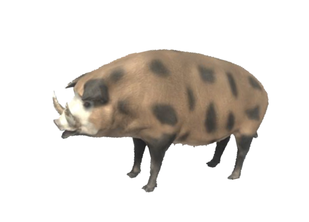 ★MPB Wild Boar★SR★Fade bream 2★ Wild Boar | Animal Revolt Battle Simulator Wiki | Fandom