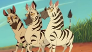 the zebras as cars