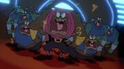Frog Bouncers