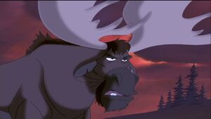 Bull Moose