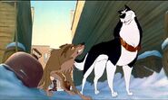 Steele making fun of Balto