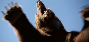 The Grizzly