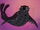 Leopard Seal (The Pebble and the Penguin)