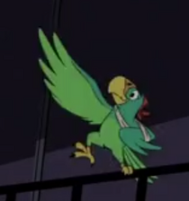 No-Name The Nameless Parrot