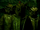 Icthar
