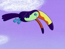 Taco the Toucan