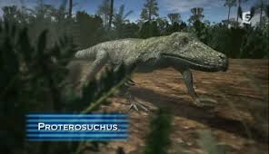 Proterosuchus | Animal Armageddon Wiki | Fandom