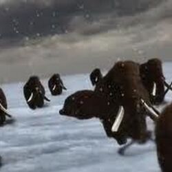 Animal Armageddon Wiki | Fandom Animal Armageddon Wiki | Fandom