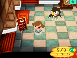 Museum Animal Crossing Wild World Wiki Fandom