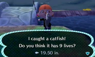 Catfish in New Leaf.