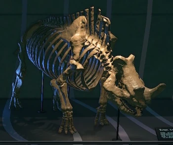 Megacerops