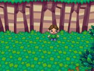 Grass squares