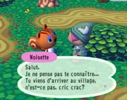 Le joueur se présentant à Damia dans Animal Crossing