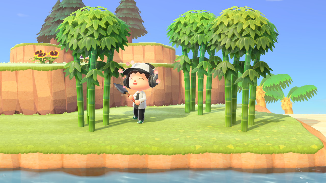 animal crossing bamboo shoots not growing