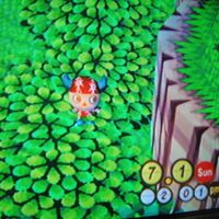 Bush Animal Crossing Wiki Fandom