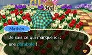 Mathéo proposant de construire une parabole
