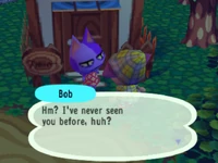 Meeting Bob.png (483 KB) Bob meeting the player in Animal Crossing