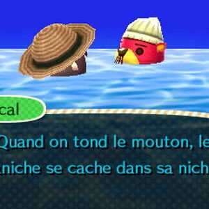 Pascal Animal Crossing Wiki Fandom