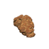 NH-Furniture-coprolite.png