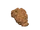 Coprolite