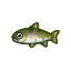 Cherry Salmon HHD Icon.png