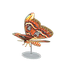 NH-Furniture-Grand Atlas moth model.png