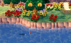 Shadow size large.jpeg (34 KB) An example of a large-sized fish compared with the bobber.