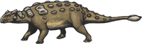 Fossil-Ankylosaurus-FurtherInfo-0