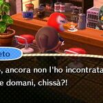 Lucha Gallery Animal Crossing Wiki Fandom They have different variants in the game. lucha gallery animal crossing wiki