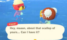 Scallop, Animal Crossing Wiki