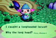 Long Locust in Animal Crossing.