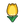 NH-yellow tulips-icon.png
