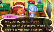 Sally welcoming the player to the town.