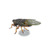 NH-Furniture-Giant cicada model.png