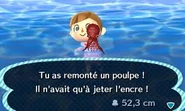 Poulpe..jpg (10 kio) Le joueur ayant remonté un poulpe