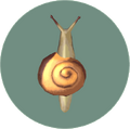 Snail (City Folk).png