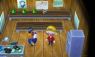 Chausset dans le poste de police dans New Leaf