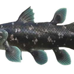 Animal crossing september hot sale fish