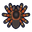 NH-Icon-tarantula.png