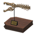 NH-Furniture-spinoskull.png