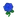 NH-blue roses-icon