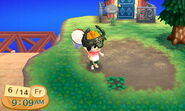 Clover patch in New Leaf.