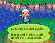 Pescando una Perca Pequeña en AC:PA