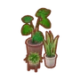 Set plantes botaniques