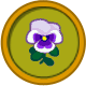 white pansy icon